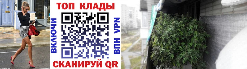 Магазины продажи наркотиков Берёзовка Гашиш  Кокаин  Мефедрон  МАРИХУАНА 