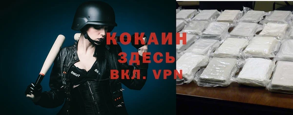 соль курить ск Новодвинск