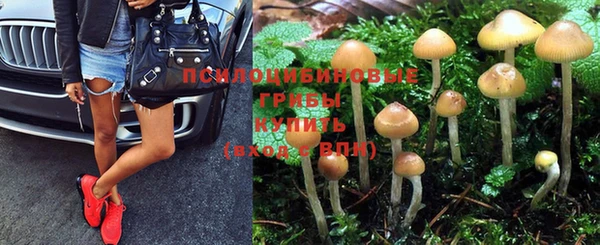 соль курить ск Новодвинск