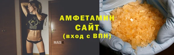 ГАЛЛЮЦИНОГЕННЫЕ ГРИБЫ Новозыбков