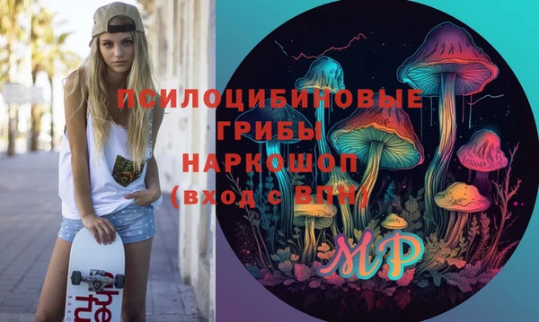 ГАЛЛЮЦИНОГЕННЫЕ ГРИБЫ Новозыбков