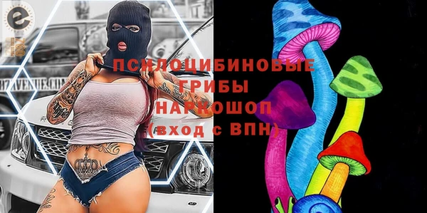 гидра Новокубанск
