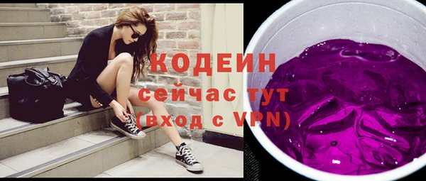 ГАЛЛЮЦИНОГЕННЫЕ ГРИБЫ Новозыбков