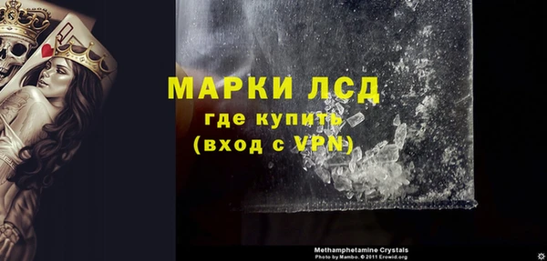 ГАЛЛЮЦИНОГЕННЫЕ ГРИБЫ Новозыбков
