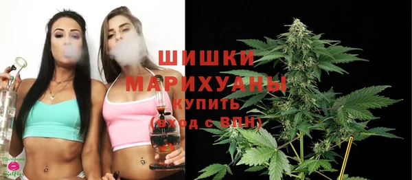 ГАЛЛЮЦИНОГЕННЫЕ ГРИБЫ Новозыбков