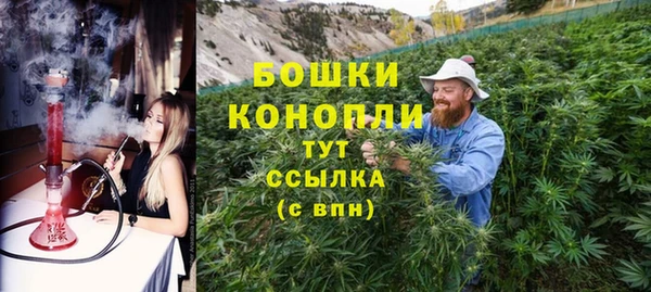 ГАЛЛЮЦИНОГЕННЫЕ ГРИБЫ Новозыбков